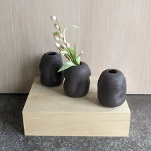 Load image into Gallery viewer, Organic Bud Vase Tall | Mackenzie