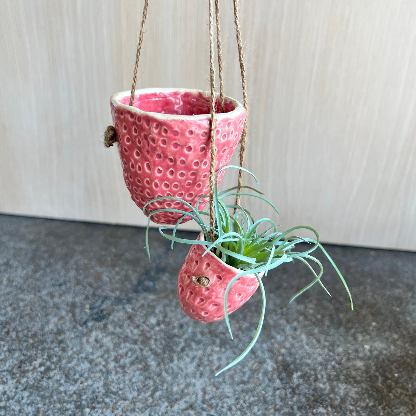 Strawberry Airplant Hanger | Marissa